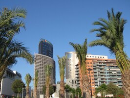 Za palmami je vidět náš hotel (ten bílý)