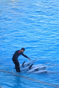 A tady už jsou hlavní herci představení
