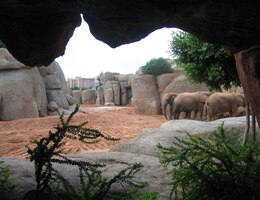 Zato v této sídlí něco o hodně většího!