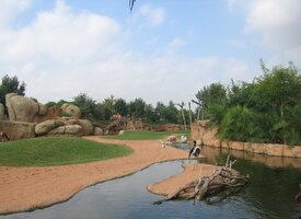 Uprostřed areálu je restaurace u jezera