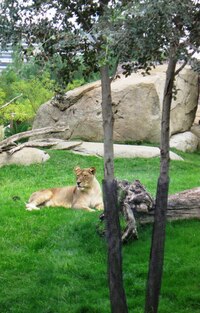 To jeho družka se chová důstojněji