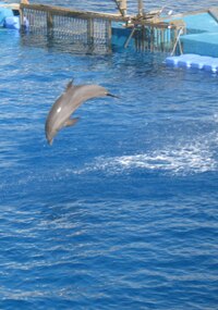 Jeden rošťák toho ještě neměl dost