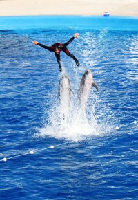 a před námi ho vyklopili!