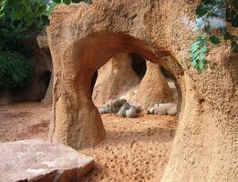 V této sluji sídlí nějací vepříci