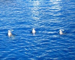 a všichni nám na rozloučenou ještě zatočili bílými kroužky