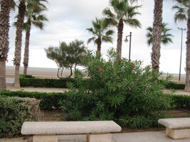 a příjemná posezení