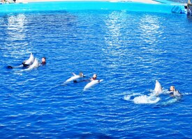 stejně jako skupinová prostná cvičení