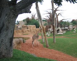 Že je krmení zakázáno? Tak mi vlezte na záda!