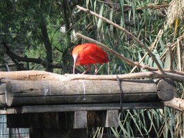 Tak nashle, rudochu, máš to tu prima!