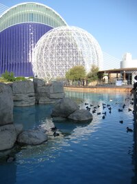 Je tu ovšem i vodní ptactvo jiných druhů