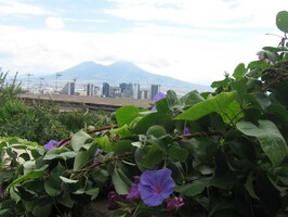 a pohledy na město a svět jsou báječné