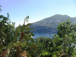 Všechno kvete a líbezně voní