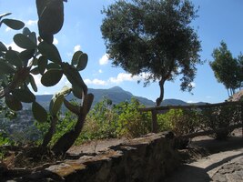 s arborety a zahradami