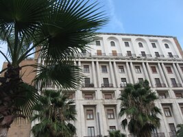 a tento se "vyšňořil" subtropickou florou