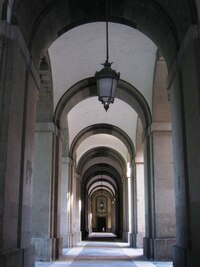 Zabírá hektary půdy a váží tisíce tun