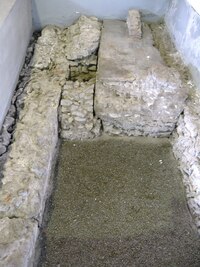 s opravdovou raritou -