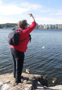 Haló, haló. poleťte sem!