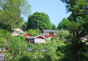 Vracíme se zahrádkářskou kolonií