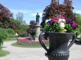 Je radost se tady procházet