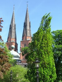 Okolní park je rozlehlý