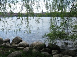 Po břehu jich tu chodí stovky