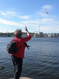 Rackové! No jo, vždyť moře je za rohem!