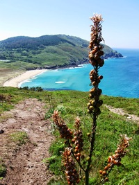 Moře pod námi se vzdalovalo