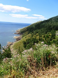 Jde se necelou hodinku