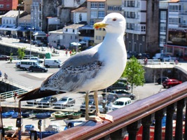 s letoviskem i jeho obyvateli