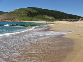 procházel se s námi po pláži