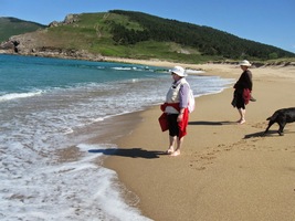 Přidal se k nám čtyřnohý kamarád,