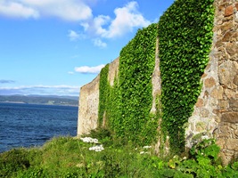 V podvečer se ještě jdeme projít