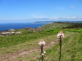 a pokračovali dále sestupem