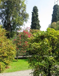 Jdeme pomalu k východu,