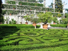 a tak vše okolo jen mlčky pozorujme