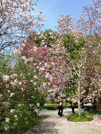 začíná být docela vedro