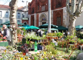 Před ním na náměstí San Marco