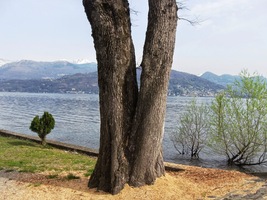 a na jeho pobřeží jsou krásná zákoutí