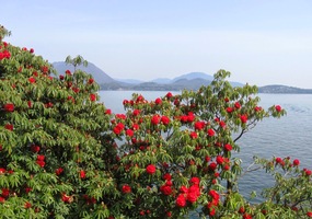 i s kouzelným výhledem na pevninu