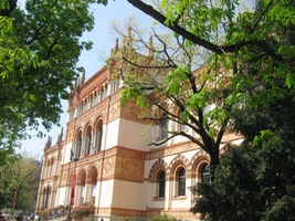 muzeum Museo Civico di Stora Naturale