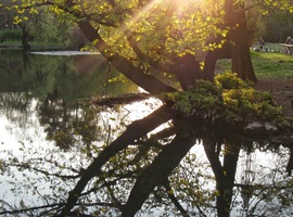 Podvečerní slunce zlatě zářilo