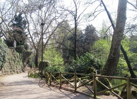 Byl plný dětí a pejsků