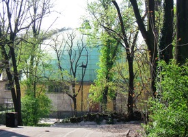 a toto planetárium skryté v jeho stromoví