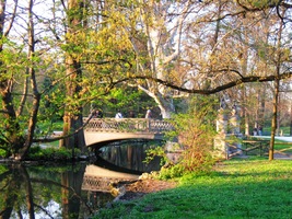v listech stromů a na hladině jezírka