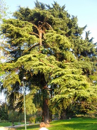 do parku Parco Sempione,