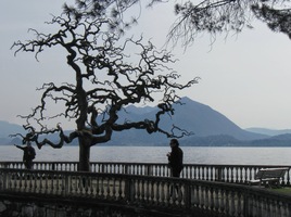 Ještě pohled na jeden z nich