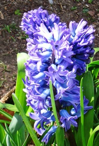 ale pojmenujte si je sami