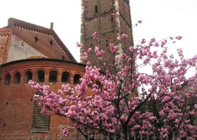 a která se skrývá za květy jara