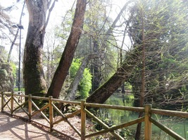 a měl poetické jméno Gardini Publico