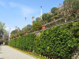 Na závěr přehlídka květin,